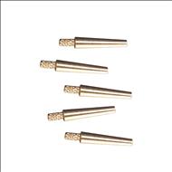 Pini pindex   942103