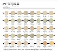 NORITAKE     Paste Opaque 6 gr    A1