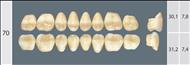 WIEDENT  A4 70L