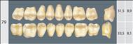WIEDENT  C3 79U