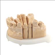 Kamarock    gips clasa IV-a,     pret / kg,    CAD-CAM