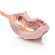 ZETALABOR 2.6 kg    silicon chitos de laborator